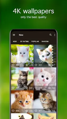 7Fon Kittens android App screenshot 4